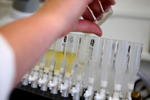 LONDON - JULY 10:  A detail view of a forensic scientist working with samples during a media open day at the UK Sport Drug Control Centre at King's College on July 10, 2008 in London, England.  (Photo by Paul Gilham/Getty Images)