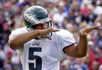 Mcnabb_crop_340x234