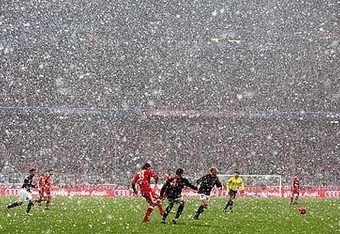 Snow_crop_340x234