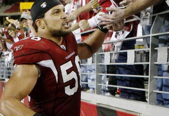 GLENDALE, AZ - JANUARY 10:  Defensive end Chike Okeafor #56 of the Arizona Cardinals celebrates with fans after defeating the Green Bay Packers 51-45 in the 2010 NFC wild-card playoff game at University of Phoenix Stadium on January 10, 2010 in Glendale, Arizona.   (Photo by Jeff Gross/Getty Images)