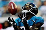 JACKSONVILLE, FL - AUGUST 22:  Troy Williamson #84 of the Jacksonville Jaguars catches a touchdown pass during the first quarter against the Tampa Bay Buccaneers at Jacksonville Municipal Stadium on August 22, 2009 in Jacksonville, Florida.  (Photo by Sam Greenwood/Getty Images)