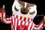 Pg2gbucky412_crop_150x100