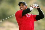 Tigerwoods_crop_150x100