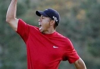 Tigerwoods_cropped_crop_340x234
