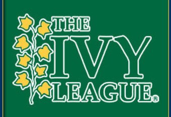 Ivy_crop_340x234