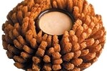 Bloominonion_crop_150x100