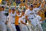 Lsu08_crop_150x100