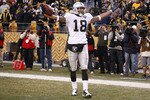 PITTSBURGH - DECEMBER 06:  Louis Murphy #18 of the Oakland Raiders celebrates his game winning touchdown with nine seconds left on the clock while playing the Pittsburgh Steelers on December 6, 2009 at Heinz Field in Pittsburgh, Pennsylvania. Oakland won the game 27-24.  (Photo by Gregory Shamus/Getty Images)
