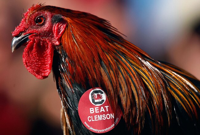 COLUMBIA, SC - NOVEMBER 28:  The South Carolina Gamecocks is seen on the sidelines during the game against the Clemson Tigers at Williams-Brice Stadium on November 28, 2009 in Columbia, South Carolina.  (Photo by Scott Halleran/Getty Images)