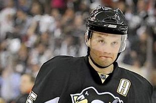Dianapenguins0416b_330_crop_310x205