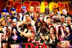Tna-impact-wrestlers-knockouts-wallpaper-preview_crop_150x100