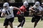 050210-camp1--nfl_medium_540_360_crop_150x100