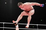 Crocop1_crop_150x100