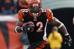 CINCINNATI, OH - DECEMBER 6: Cedric Benson #32 of the Cincinnati Bengals runs against the Detroit Lions in their NFL game at Paul Brown Stadium December 6, 2009 in Cincinnati, Ohio.    (Photo by John Sommers II/Getty Images)