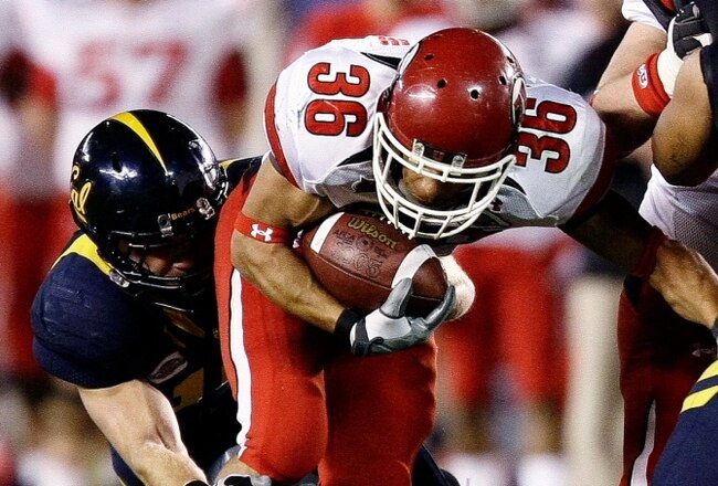Poinsettia_bowl_009_crop_650x440