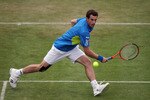 LONDON, ENGLAND - JUNE 10:  Andy Murray of Great Britain in action during his third round match against Mardy Fish of USA on Day 4 of the the AEGON Championships at Queen's Club on June 10, 2010 in London, England.  (Photo by Clive Brunskill/Getty Images)