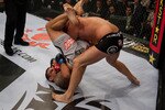 10_fedor_vs_werdum_p1y1327_crop_150x100