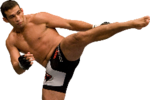Werdum_crop_150x100