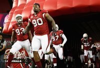 Arizona Cardinals History: Five Biggest Defensive Performances