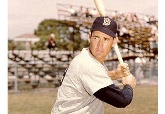 Ted_williams_at_bat2_crop_340x234