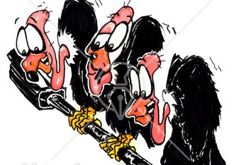 Buzzards30379-clipart-illustration-of-three-black-anxious-buzzards-perched-on-a-cable-hoping-for-some-road-kill_crop_340x234