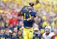 The 10 Things That Michigan Fans Want From the 2010 Season