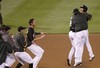Oaklandas_crop_100x68