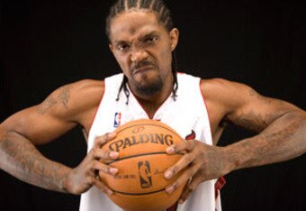 308_haslem_081112_crop_340x234