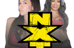 Nxt-ajmelina_crop_310x205
