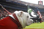 Uga_crop_150x100