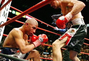 LAS VEGAS - JULY 26: Antonio Margarito (R) knocks down Miguel Cotto to win the WBA welterweight title fight by TKO in the 11th round at the MGM Grand Garden Arena July 26, 2008 in Las Vegas, Nevada. (Photo by Ethan Miller/Getty Images)