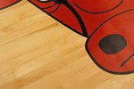 DEERFIELD, IL - JUNE 23: Tom Thibodeau, the new head coach of the Chicago Bulls, poses for photographers on a Bulls logo following a press conference at the Berto Center practice facility on June 23, 2010 in Deerfield, Illinois. NOTE TO USER: User expressly acknowledges and agrees that, by downloading and/or using this Photograph, User is consenting to the terms and conditions of the Getty Images License Agreement. (Photo by Jonathan Daniel/Getty Images)