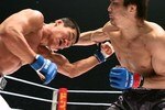 Takanorigomi_crop_150x100
