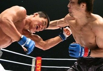 Takanorigomi_crop_340x234