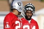 Asomughaorrevis_crop_340x234_crop_150x100