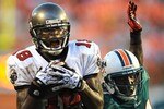 Bucsfins_original_crop_150x100