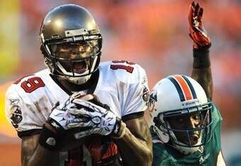 Bucsfins_original_crop_340x234