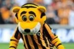 Rorytiger_crop_150x100