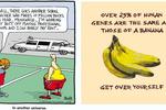 Basketballcartoonandbananas_crop_150x100