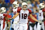 NASHVILLE, TN - AUGUST 23:  Max Komar #18 of the Arizona Cardinals attempts to explain to the sidelines that he wasn't really holding after being called for the penalty during a preseason game against the Tennessee Titans at LP Field on August 23, 2010 in Nashville, Tennessee. Tennessee defeated Arizona, 24-10.  (Photo by Grant Halverson/Getty Images)