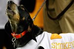 ATLANTA - DECEMBER 31:  Tennessee Volunteers mascot Smokey IX howls during pre-game introductions before the Chick-Fil-A Bowl against the Virginia Tech Hokies at the Georgia Dome on December 31, 2009 in Atlanta, Georgia.  Virginia Tech beat Tennessee 37-14.  (Photo by Mike Zarrilli/Getty Images)