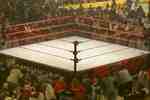 Wrestlingring_crop_150x100