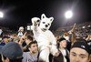 Uconnhusky_crop_100x68