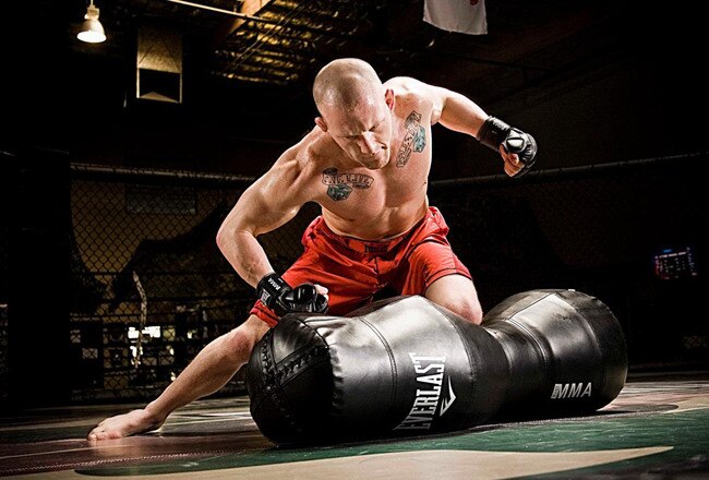 Gray-maynard_everlast_crop_650x440