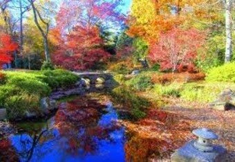 Autumn_crop_340x234