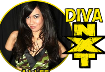 Divanxt-ajlee_crop_340x234
