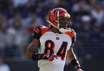 Bleacher Report - New York Jets