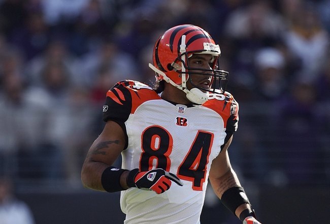 BALTIMORE - NOVEMBER 5:  T.J. Houshmanzadeh #84 of the Cincinnati Bengals runs during the game against the Baltimore Ravens at M&T Bank Stadium on November 5, 2006 in Baltimore, Maryland.  The Ravens defeated the Bengals 26-20. (Photo by Harry How/Getty Images)