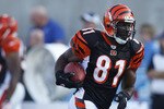 CANTON, OH - AUGUST 8: Terrell Owens #81 of the Cincinnati Bengals warms up before the game against the Dallas Cowboys during the 2010 Pro Football Hall of Fame Game at the Pro Football Hall of Fame Field at Fawcett Stadium on August 8, 2010 in Canton, Ohio. (Photo by Joe Robbins/Getty Images)