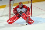BUFFALO, NY - MARCH 31:  Tomas Vokoun #29 of the Florida Panthers defends the net during the game against the Buffalo Sabres at HSBC Arena on March 31, 2010 in Buffalo, New York. (Photo by Rick Stewart/Getty Images)